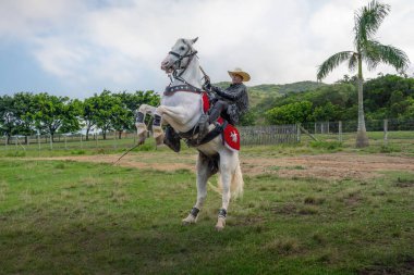 Santa Catarina, Brezilya - 12 Kasım 2020: Beto Carrero World Theme Park 'taki Fantezi Diyarı' nda yükselen beyaz at üzerinde Beto Carrero 'ya benzeyen bir sanatçı