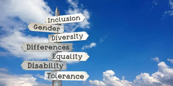 Inclusão Gênero Diversidade Diferenças Igualdade Deficiência Tolerância Sinalização Madeira Com — Fotografia de Stock