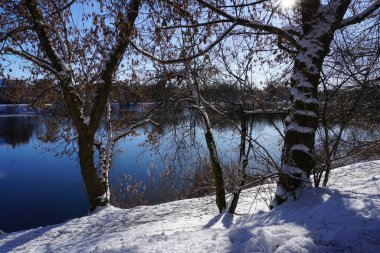 Trees covered with snow on lake shore in winter city park