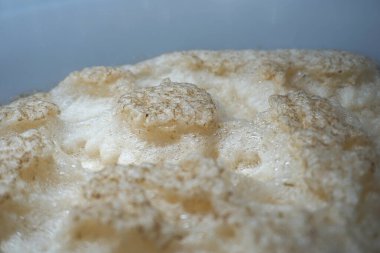 Beer yeast foam - alcohol fermentation process