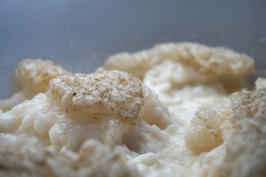 Beer yeast foam - alcohol fermentation process