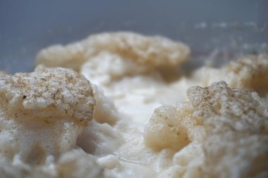 Beer yeast foam - alcohol fermentation process