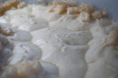 Beer yeast foam - alcohol fermentation process