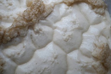 Beer yeast foam - top view - alcohol fermentation process