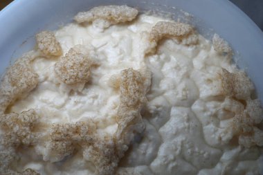 Beer yeast foam in fermenter - alcohol fermentation process