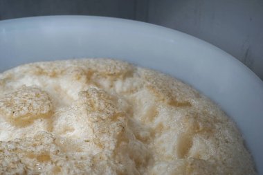 Beer yeast in round plastic fermenter - home brewing concept