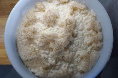 Beer yeast in round plastic fermenter - home brewing concept