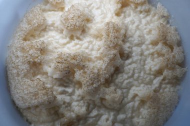 Beer yeast in round plastic fermenter - home brewing concept