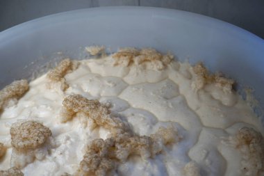 Beer yeast in round plastic fermenter - home brewing concept