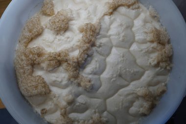 Beer yeast in round plastic fermenter - home brewing concept