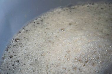Beer yeast foam - alcohol fermentation process
