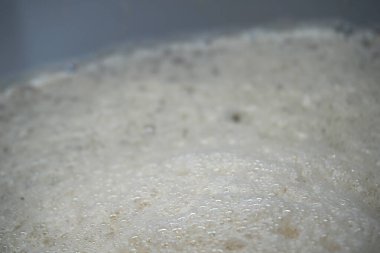 Beer yeast foam - alcohol fermentation process