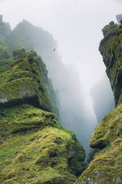 Rocks and fog at Raudfeldsgja Gorge on Snaefellsnes Peninsula in Iceland