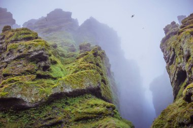 Rocks and fog at Raudfeldsgja Gorge on Snaefellsnes Peninsula in Iceland