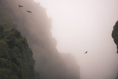 Rocks and fog at Raudfeldsgja Gorge on Snaefellsnes Peninsula in Iceland