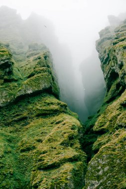 Rocks and fog at Raudfeldsgja Gorge on Snaefellsnes Peninsula in Iceland