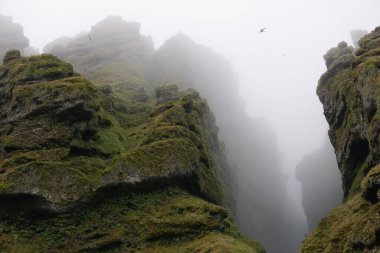 Rocks and fog at Raudfeldsgja Gorge on Snaefellsnes Peninsula in Iceland