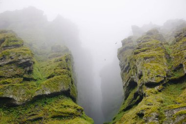 Rocks and fog at Raudfeldsgja Gorge on Snaefellsnes Peninsula in Iceland
