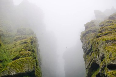 Rocks and fog at Raudfeldsgja Gorge on Snaefellsnes Peninsula in Iceland