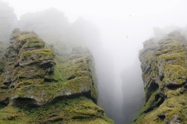 Rocks and fog at Raudfeldsgja Gorge on Snaefellsnes Peninsula in Iceland