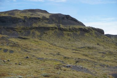 İzlanda yosun kaplı kaya