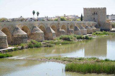 Roma köprüsü Guadalquivir Nehri Cordoba, İspanya
