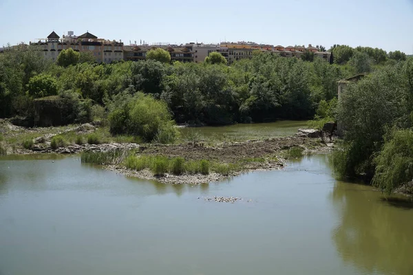 stock image Guadalquivir river in Cordoba, Spain