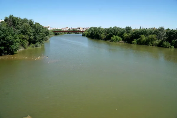 Guadalquivir Nehri Cordoba Spanya — Stok fotoğraf