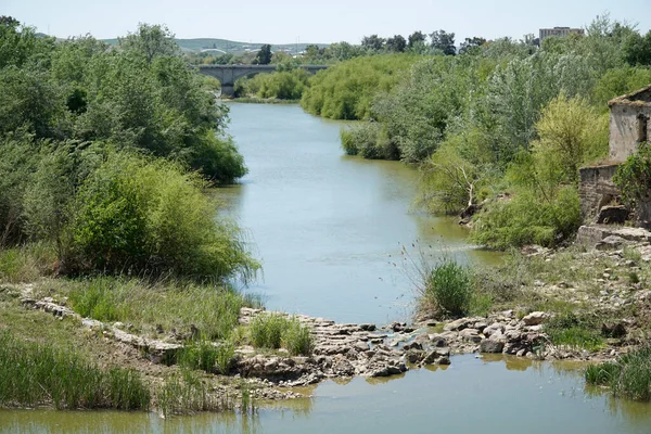 Ποταμό Γουαδαλκιβίρ Στην Κόρδοβα Ισπανία — Φωτογραφία Αρχείου