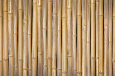 Bambooo ahşap duvar - arkaplan