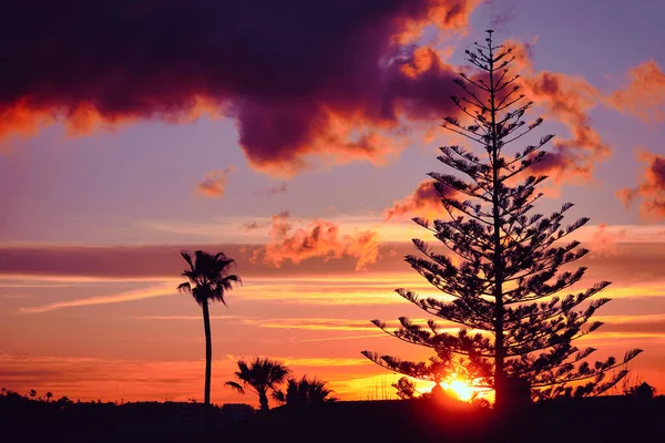 Céu Dramático Pôr Sol Silhuetas Árvores — Fotografia de Stock