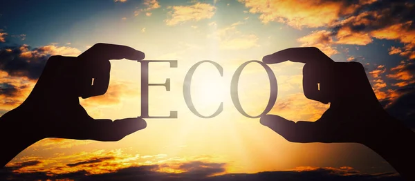 Eco Menselijke Handen Met Zwarte Silhouet Woord — Stockfoto