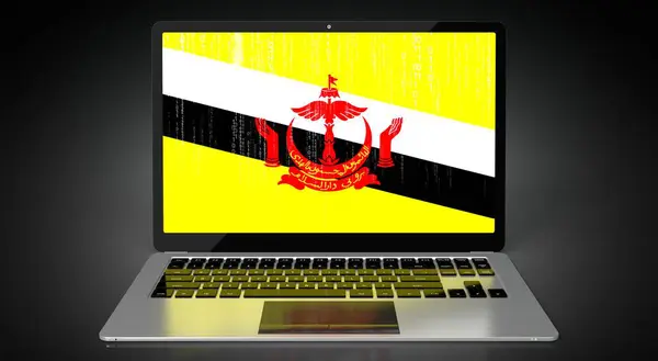 Brunei Bandera Del País Código Binario Pantalla Del Ordenador Portátil —  Fotos de Stock
