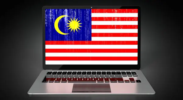 Malaysia Bendera Negara Dan Kode Biner Pada Layar Laptop Ilustrasi — Stok Foto