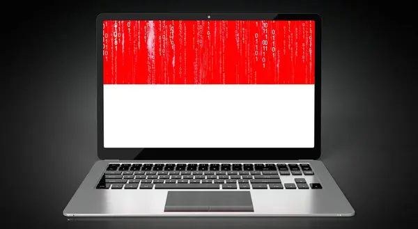 Monaco Country Flag Binary Code Laptop Screen Illustration — Stock Photo, Image