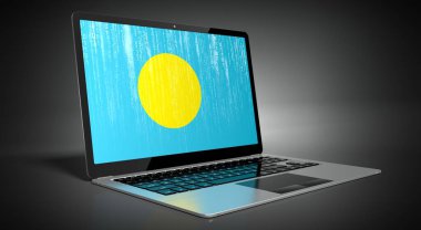 Palau - ülke bayrağı ve dizüstü bilgisayarda ikili kod - 3D illüstrasyon