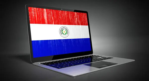 Paraguay Country Flag Binary Code Laptop Screen Illustration — стокове фото