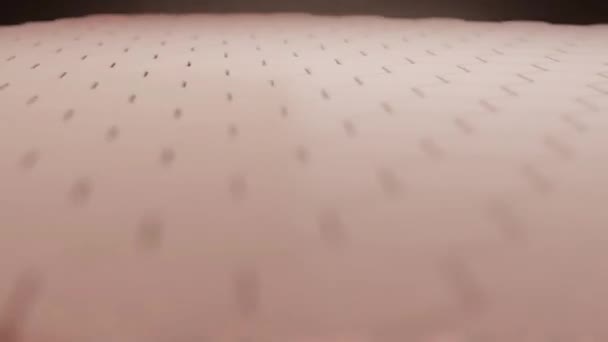 Cellules Cutanées Géométriques Molécule Sérum Cosmétique Hydratante Animation 3840X2160Px — Video