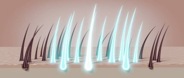 Saç kökleri - yenilenme konsepti - 3 boyutlu illüstrasyon