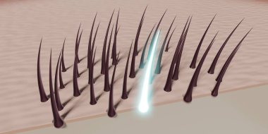 Saç kökleri - yenilenme konsepti - 3 boyutlu illüstrasyon