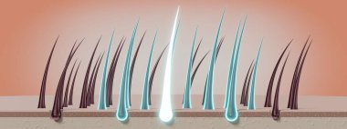 Saç kökleri - yenilenme konsepti - 3 boyutlu illüstrasyon