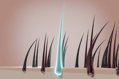 Saç kökleri - yenilenme konsepti - 3 boyutlu illüstrasyon