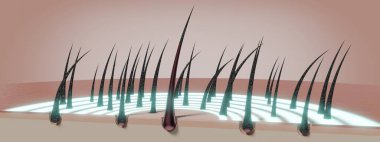 Saç kökleri - yenilenme konsepti - 3 boyutlu illüstrasyon