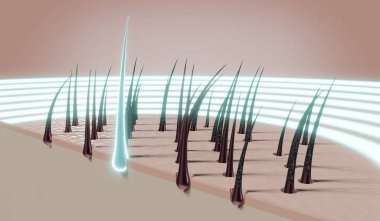 Saç kökleri - yenilenme konsepti - 3 boyutlu illüstrasyon