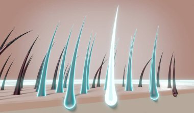 Saç kökleri - yenilenme konsepti - 3 boyutlu illüstrasyon