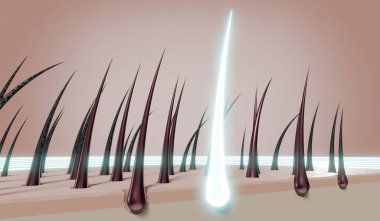 Saç kökleri - yenilenme konsepti - 3 boyutlu illüstrasyon