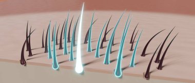 Saç kökleri - yenilenme konsepti - 3 boyutlu illüstrasyon