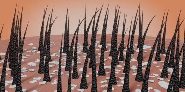 Saç kökleri ve kepek mikroskop altında - 3 boyutlu illüstrasyon