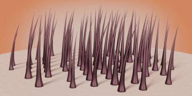 Sağlıklı saç kökleri ve mikroskop altında deri - 3 boyutlu illüstrasyon