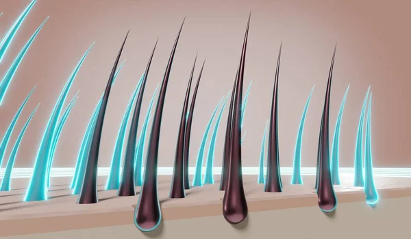 Hair Follicles Regeneration Concept Illustration — Stock Photo, Image